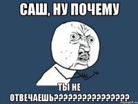 Саш, ну почему ты не отвечаешь????????????????