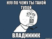 Нуу по чему ты такой тупой Владиииик