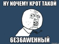 Hy noчeMy KpoT Takoй 6e36aweHHый