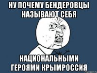 НУ ПОЧЕМУ БЕНДЕРОВЦЫ НАЗЫВАЮТ СЕБЯ НАЦИОНАЛЬНЫМИ ГЕРОЯМИ крымроссия