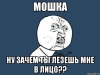 МОШКА НУ ЗАЧЕМ ТЫ ЛЕЗЕШЬ МНЕ В ЛИЦО??