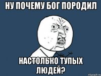 ну почему бог породил настолько тупых людей?