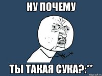 НУ ПОЧЕМУ ТЫ ТАКАЯ СУКА?:**