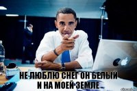 Не люблю снег Он белый и на моей земле