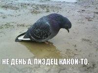 Не день а, пиздец какой-то.