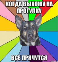 когда выхожу на прогулку все прячутся