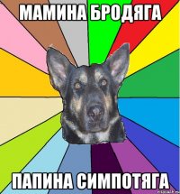 мамина бродяга папина симпотяга