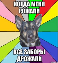 когда меня рожали все заборы дрожали