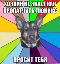 Хозяин не знает как пропатчить люникс Просит тебя