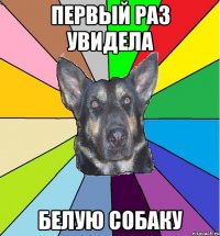 первый раз увидела белую собаку