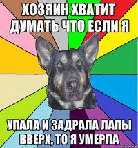 хозяин хватит думать что если я упала и задрала лапы вверх, то я умерла