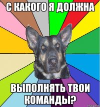 с какого я должна выполнять твои команды?