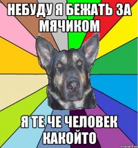 небуду я бежать за мячиком я те че человек какойто