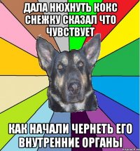 Дала нюхнуть кокс снежку сказал что чувствует как начали чернеть его внутренние органы