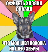 Офигеть хозяин сказал что моя шея похожа на шею зебры