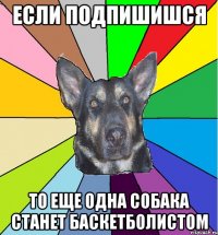Если подпишишся то еще одна собака станет баскетболистом