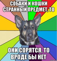 Собаки и кошки странный предмет, то они сорятся, то вроде бы нет