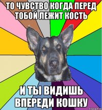 то чувство когда перед тобой лежит кость и ты видишь впереди кошку