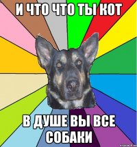 и что что ты кот в душе вы все собаки
