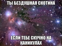 ты бездушная скотина если тебе скучно на каникулах
