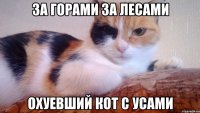 За горами за лесами Охуевший кот с усами