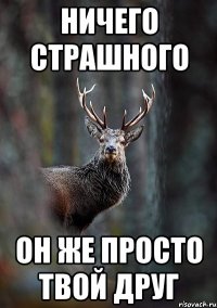 ничего страшного он же просто твой друг