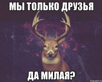 Мы только друзья Да милая?