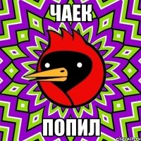 чаек попил