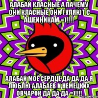 алабай класные а пачему они класные они гуляют с ашеиникам =)!!!! алабай моё сердце да да да я люблю алабаев и немецких овчарок да да да =)!!!!