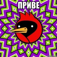 приве 