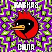 КАВКАЗ СИЛА