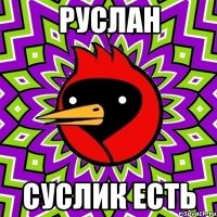 руслан суслик есть