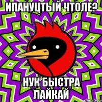Ипануцтый чтоле? нук быстра лайкай