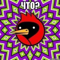 что? 