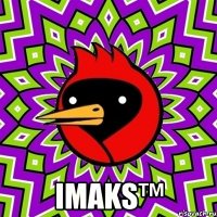  iMaks™
