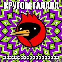 Кругом галава ???????????????????