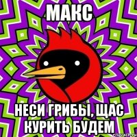 Макс Неси грибы, щас курить будем