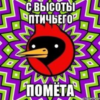 С высоты птичьего помёта
