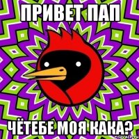 привет пап чётебе моя кака?