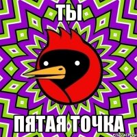 ты пятая точка
