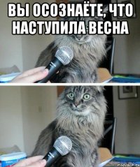 Вы осознаёте, что наступила весна 