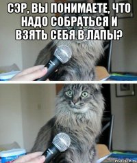 Сэр, вы понимаете, что надо собраться и взять себя в лапы? 