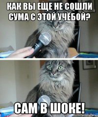 Как вы еще не сошли сума с этой учёбой? Сам в шоке!