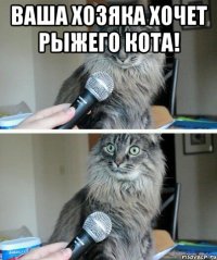 ваша хозяка хочет рыжего кота! 