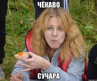чёкаво сучара