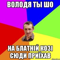 Володя ты шо На блатній козі сюди приїхав