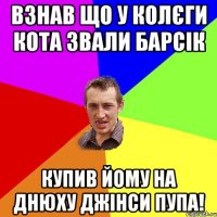 Взнав що у колєги кота звали Барсік Купив йому на днюху джінси пупа!