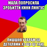 Мала попросила зробитти кини лингус Пишшов у гараж за деталями, хз що це таке