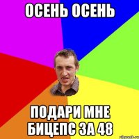 осень осень Подари мне бицепс за 48