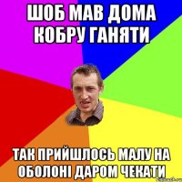 Шоб мав дома кобру ганяти Так прийшлось малу на оболоні даром чекати